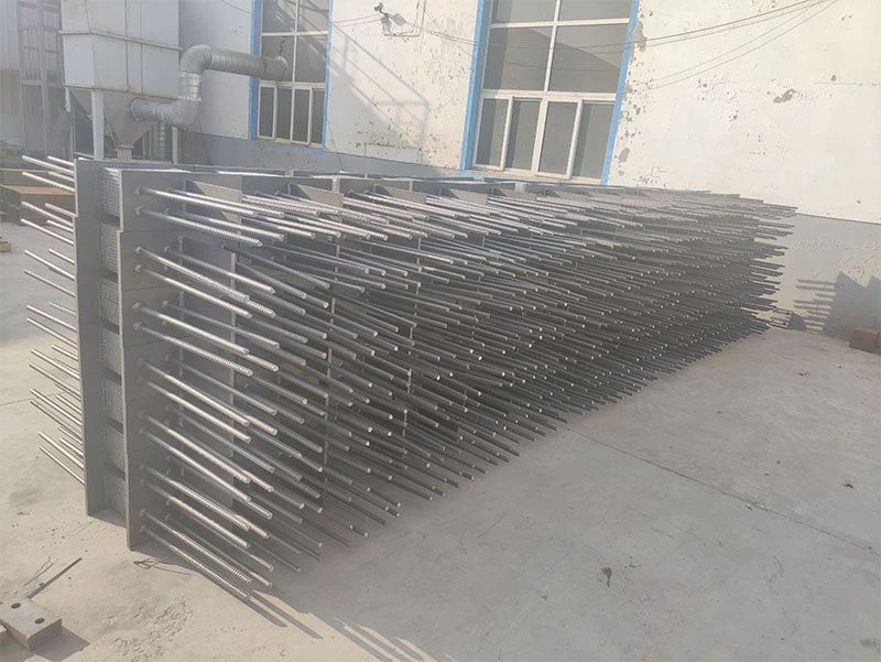 DM_20241217135434_002